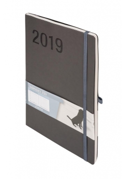 Kalendarz 2019 Minimalizm B5 Szary TNS ANTRA