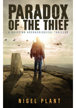 Paradox of The Thief