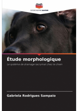 Étude morphologique
