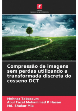 Compressão de imagens sem perdas utilizando a transformada discreta do cosseno DCT