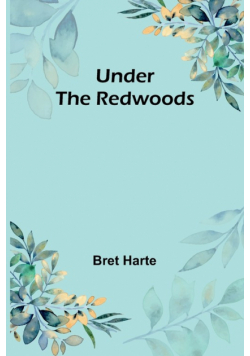 Under the Redwoods