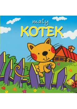 Mały kotek
