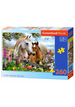 Puzzle In the Summer Meadow 260