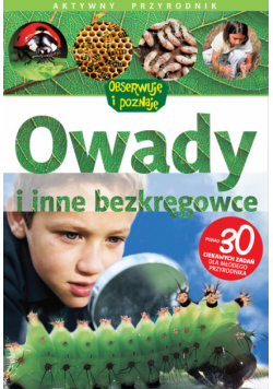Owady i inne bezkręgowce