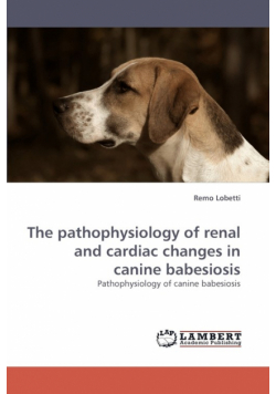 The pathophysiology of renal and cardiac changes in canine babesiosis