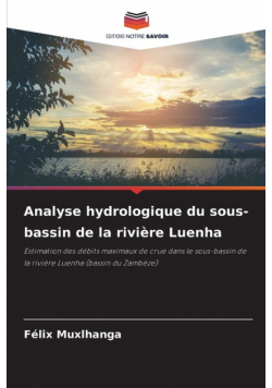 Analyse hydrologique du sous-bassin de la rivière Luenha
