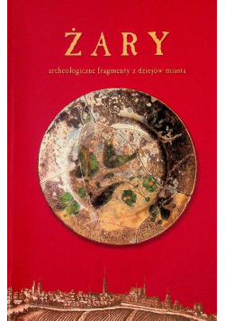 Żary archeologiczne fragmenty z dziejów miasta