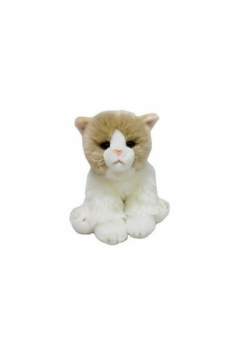 Fluffy Fam Kot beżowy