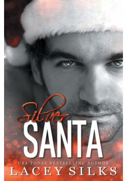 Silver Santa