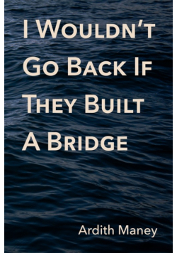I Wouldn't Go Back If They Built A Bridge