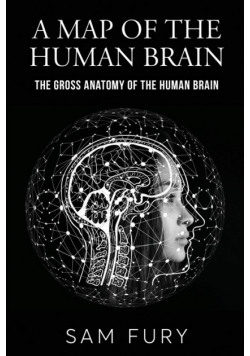 A Map of the Human Brain
