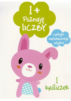 1+ Poznaję liczby