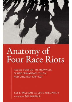 Anatomy of Four Race Riots