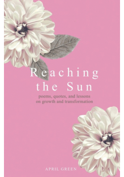 Reaching the Sun