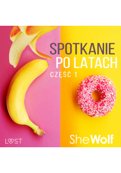 Spotkanie po latach 1 – opowiadanie erotyczne