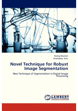 Novel Technique for Robust Image Segmentation