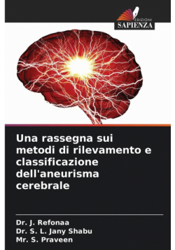 Una rassegna sui metodi di rilevamento e classificazione dell'aneurisma cerebrale