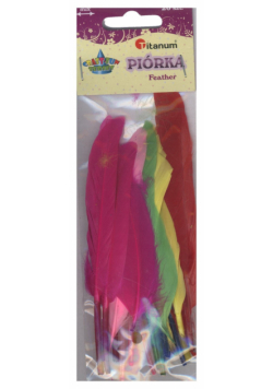 Pióra 6 kolorów 20 sztuk
