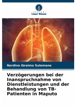 Verzögerungen bei der Inanspruchnahme von Dienstleistungen und der Behandlung von TB-Patienten in Maputo