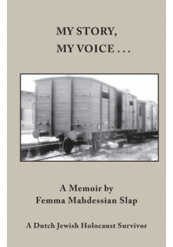 My Story, My Voice