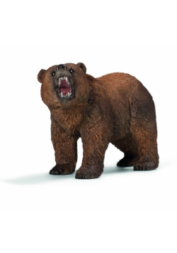 Niedźwiedź Grizzly