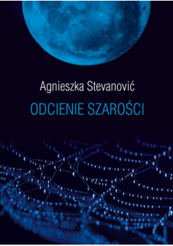 Odcienie szarości