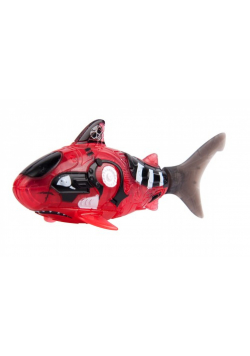 Robofish Pirat z siatką czerwona