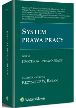 System prawa pracy Tom 6