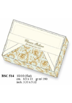 Papeteria box 10 kartek i 10 kopert BSC 514