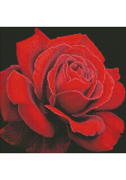 Diamentowa mozaika - Czerwona róża 40x40cm