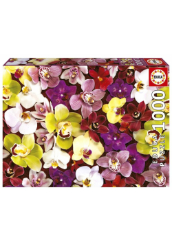 Puzzle 1000 Storczyki