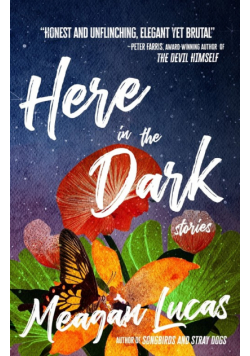 Here in the Dark