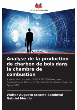 Analyse de la production de charbon de bois dans la chambre de combustion