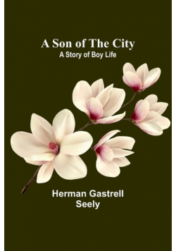 A Son of the City; A Story of Boy Life