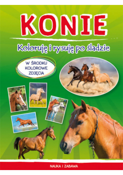 Konie Koloruję i rysuję po śladzie