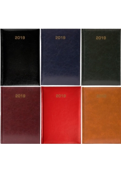 Kalendarz 2019 Dzienny B6 Baladek
