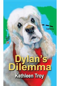 Dylan's Dilemma
