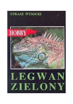 Legwan Zielony