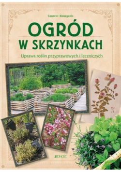 Ogród w skrzynkach. Uprawa roślin przyprawowych i leczniczych