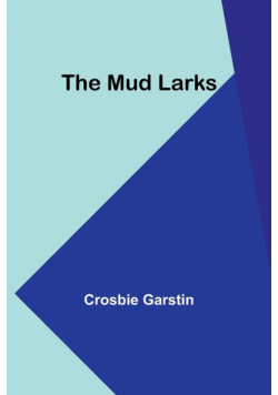 The Mud Larks