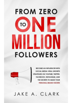 From Zero to One Million Followers
