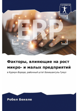 Факторы, влияющие на рост микро- и малых предприятий