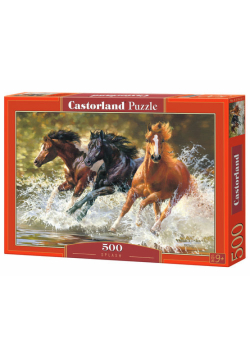 Puzzle 500 Splash