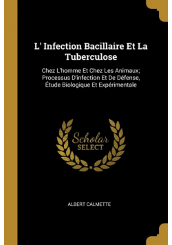 L' Infection Bacillaire Et La Tuberculose