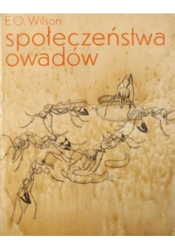 Społeczeństwo owadów