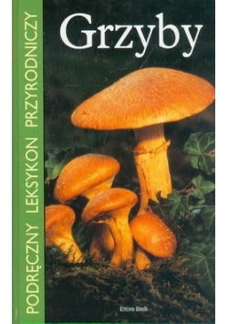 Grzyby