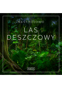 Nastrojowo - Las Deszczowy
