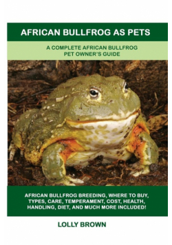African Bullfrog as Pets