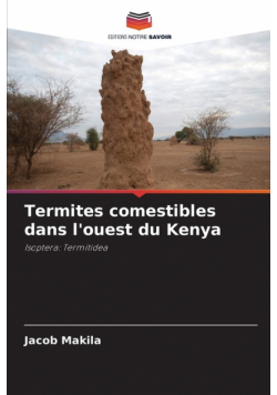 Termites comestibles dans l'ouest du Kenya