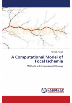 A Computational Model of Focal Ischemia